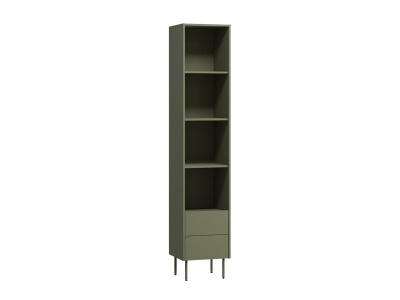 Стеллаж Дигарс 43x220 Оливковый