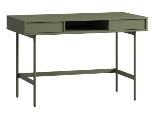 Письменный стол Эрлин-1 120x60 Оливковый