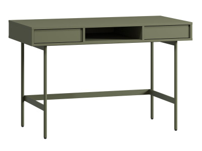 Письменный стол Эрлин-1 120x60 Оливковый