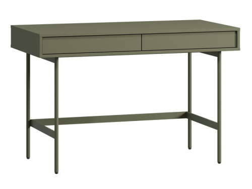 Письменный стол Эрлин-2 120x60 Оливковый