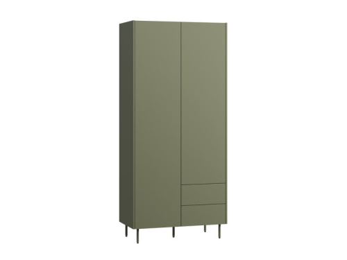 Распашной шкаф Изи 2-100x220 Оливковый