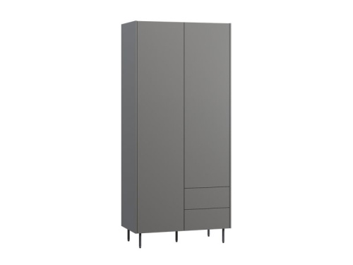 Распашной шкаф Изи 2-100x220 Графитовый