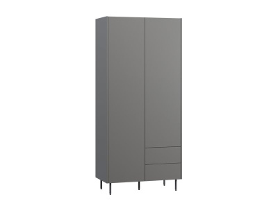 Распашной шкаф Изи 2-100x220 Графитовый