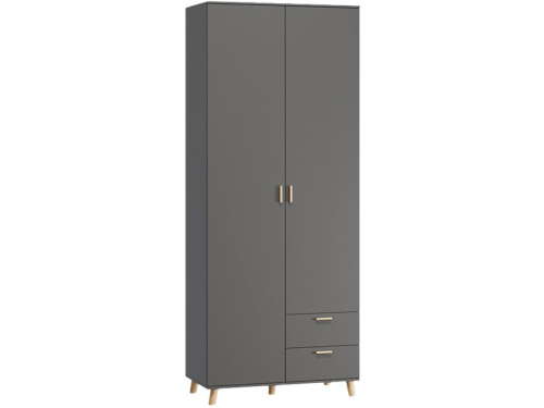 Распашной шкаф Пронто 2-100x220 Графитовый