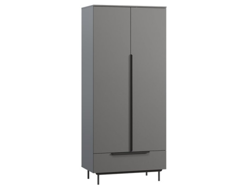 Распашной шкаф Квелен 2-96x220 Графитовый