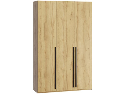 Распашной шкаф Кимбол 3-170x240 Дуб Золотистый