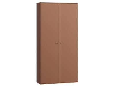 Распашной шкаф Сайрис 2-98x202 Терракотовый