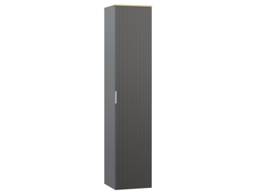 Распашной шкаф Енссон 1.2-40x240 Графитовый