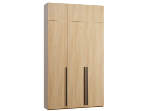 Распашной шкаф Кимбол 3.1-170x300 Дуб Барбера