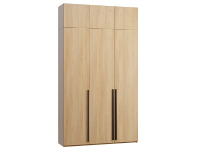 Распашной шкаф Кимбол 3.1-170x300 Дуб Барбера