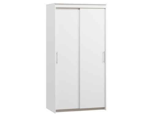 Шкаф-купе Тебар 2-100x200 Белый без зеркал