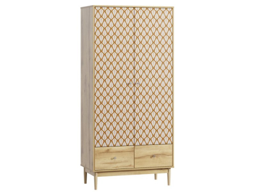 Распашной шкаф Тайрон 2-95x200 Розетта