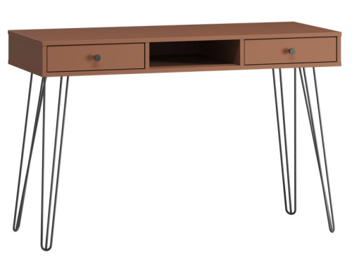 Письменный стол Крейн-1 120x50 Терракотовый/Черный