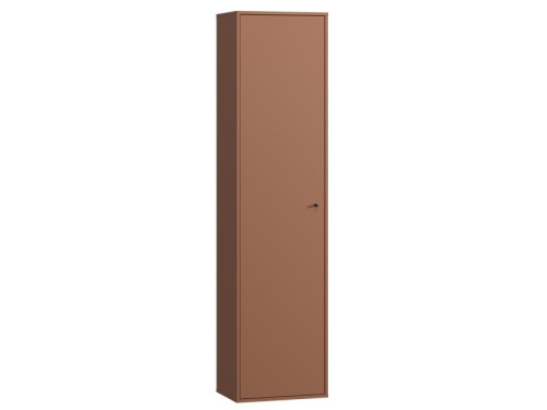 Распашной шкаф Сайрис 1-50x202 Терракотовый