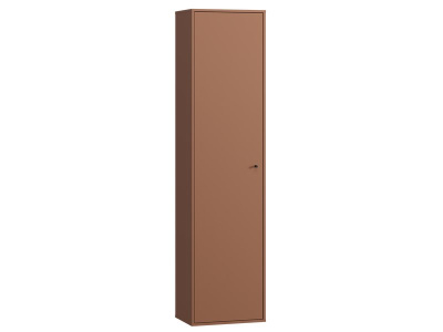 Распашной шкаф Сайрис 1-50x202 Терракотовый