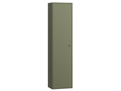 Распашной шкаф Сайрис 1-50x202 Оливковый
