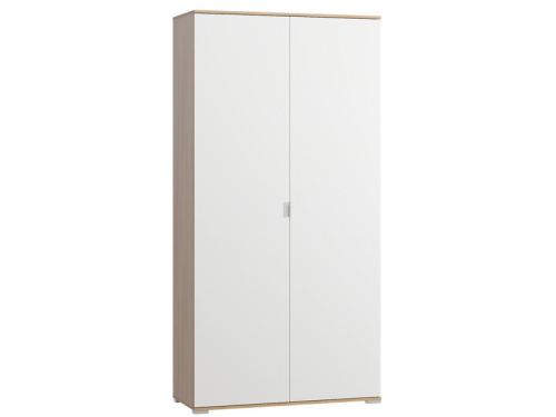 Распашной шкаф Стелла 2-120x240 Дуб Барбера