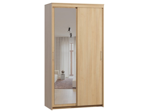 Шкаф-купе Тебар 2-120x230 Дуб Барбера 1 зеркало