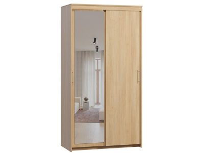 Шкаф-купе Тебар 2-120x230 Дуб Барбера 1 зеркало