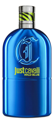 Just Cavalli Wild Blue: туалетная вода 90мл уценка