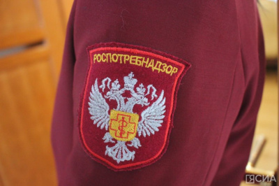Работу шаурмичных рассмотрят на межведомственном совещании в Якутии / ЯСИА   Республика Саха (Якутия)