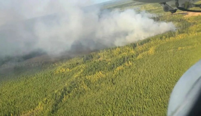 Лесной пожар возник в Хангаласском районе из-за неосторожного обращения с огнем / ЯСИА   