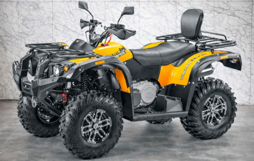 Квадроцикл STELS ATV 650 YL Leopard EFI (2026) (ПСМ)
