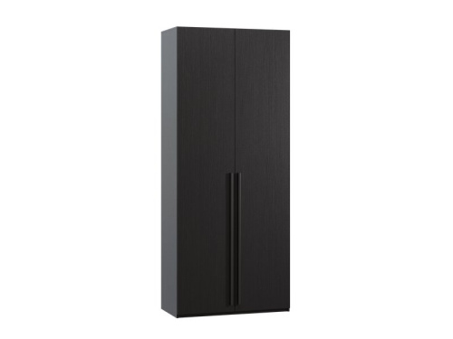 Распашной шкаф Кимбол 2-100x240 Черный древесный