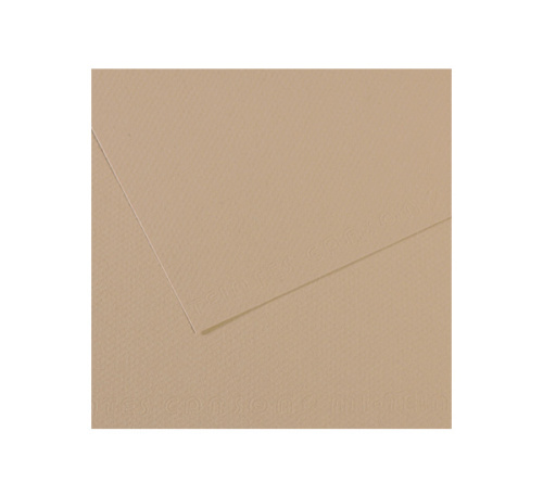 Бумага для пастели Canson "MI-TEINTES" 50x65 см 160 г №343 перламутр