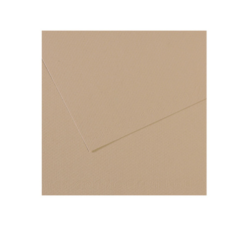 Бумага для пастели Canson "MI-TEINTES" 21x29,7 см 160 г №343 серо-бежевый