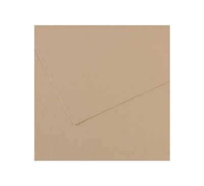 Бумага для пастели Canson "MI-TEINTES" 21x29,7 см 160 г №343 серо-бежевый