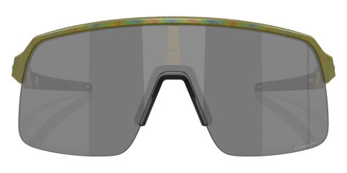 Очки солнцезащитные Oakley Sutro Lite Fern SpaceDust/Prizm Black (комплект)