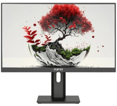 Монитор 23,8" RDW Computers RDW2401K 2401K/F08B3100V2A1A 1920X1080, IPS, 350cd, 4ms, 178/178, HDMI, M/M, HAS, PIV, 100Hz, VGA, DP, USB, black (RUS)