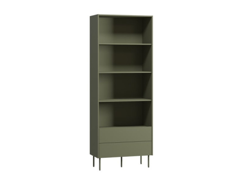 Стеллаж Дигарс 83x220 Оливковый