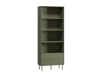 Стеллаж Дигарс 83x220 Оливковый