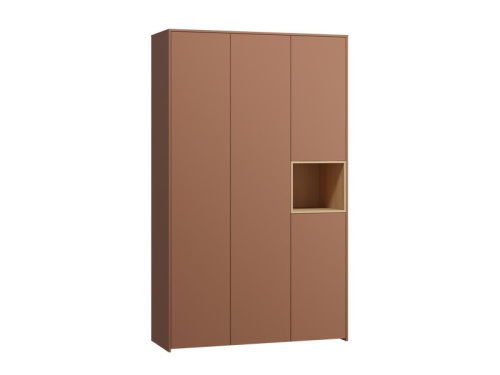 Распашной шкаф Висмар 3-153x240 Терракотовый