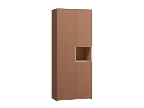 Распашной шкаф Висмар 2-103x240 Терракотовый