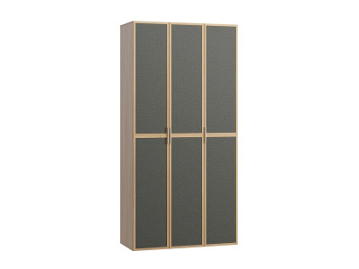 Распашной шкаф Флавир 3-120x250 Рогожка Графитовый