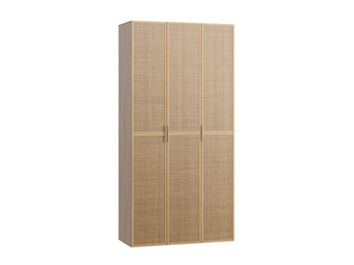 Распашной шкаф Флавир 3-120x250 Ротанг