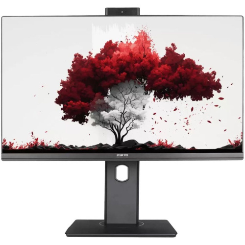 Монитор 23,8" RDW Computers RDW2402K/F00B3 черный IPS 16:9 HDMI M/M Cam матовая HAS Piv 250cd 178гр/178гр 1920x1080 75Hz VGA DP FHD (RUS)
