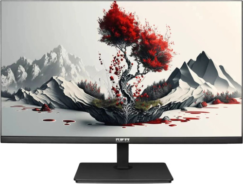Монитор 23,8" RDW Computers 2401K/F00В0100V2A1H черный IPS 4ms 16:9 HDMI матовая 300cd 178гр/178гр 1920x1080 100Hz VGA DP FHD (RUS)