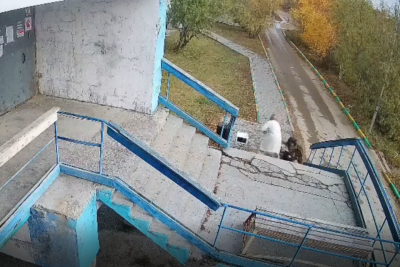 В Якутске собака напала на ребенка у подъезда жилого дома / ЯСИА   