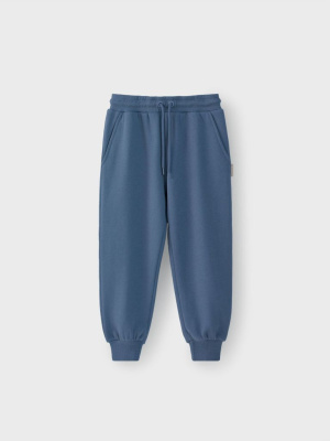 Брюки трикотажные Terry Salt Blue