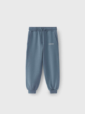 Брюки трикотажные Terry Storm Blue