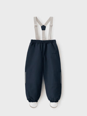 Брюки демисезонные на подтяжках Flint Ombre blue