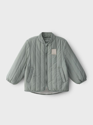 Куртка Dumi vetiver green