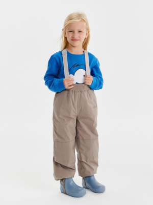 Брюки демисезонные Flint Mink brown