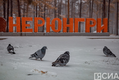 В Нерюнгри устранят недостатки благоустройства сквера / ЯСИА   