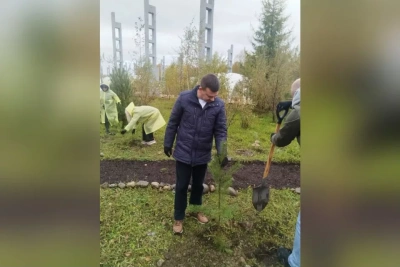 4000 сосен на месте БЦБК: Сбер стал партнером международного лесовосстановительного форума / ЯСИА   