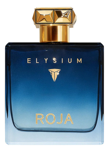 Elysium Pour Homme: парфюмерная вода 100мл уценка